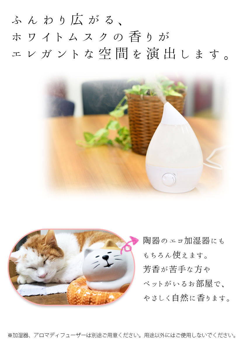 株式会社セーフティ